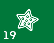 xmas-kalender_icon_socke